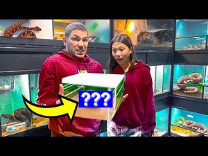 We're Finally Getting Another PET!!? *Surprise* | Familia Diamond