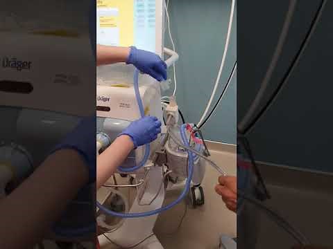 Setting up the inhaled nitric oxide in NICU