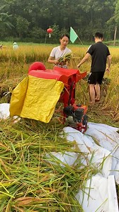 216K views · 1.3K reactions | Multifunctional Rice Thresher | Mini Rice Mill Machine | Facebook