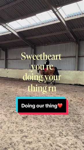 Doing our thing, no matter the noise🤭 #HorseTok #EquestrianLife #StayFocused #RideOn #CapCut