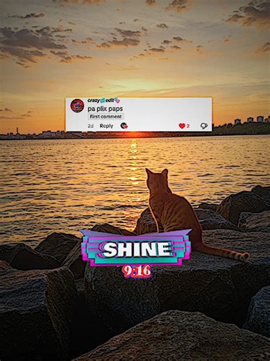 XML Preset Editing Tips for Dynamic Motion