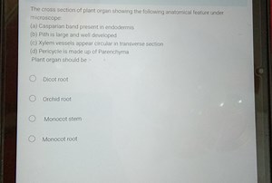 The cross section of plant organ showing the following anatomic... | Filo