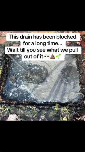 Unblocking a Long-Blocked Drain: What We Found
