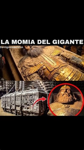 Desde los templos mayas hasta las pirámides de Egipto, o los grandes templos de la India, hay algo que no cuadra en las historias oficiales. 🤔🔮 ¿Alienígenas, gigantes, o tecnología perdida? Si alguna vez te has preguntado quién o qué ayudó a las civilizaciones antiguas, este es tu lugar. 🛕👽 👉🏻 COMENTA: LIBRO descubre la verdad oculta entre las sombras del pasado. Quizás, aquí encuentres las piezas que faltaban en el rompecabezas de la historia humana. “TE LO OCULTARON” es un libro con más 