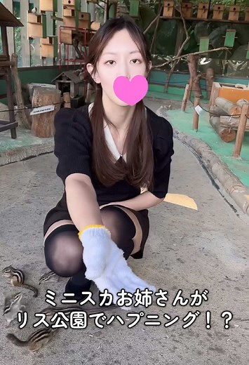 ミニスカートとリスのハプニング in 公園
