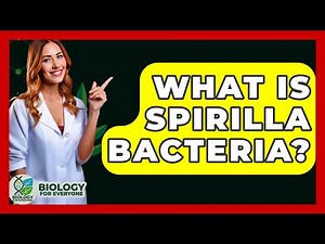 What Is Spirilla Bacteria? - Biology For Everyone