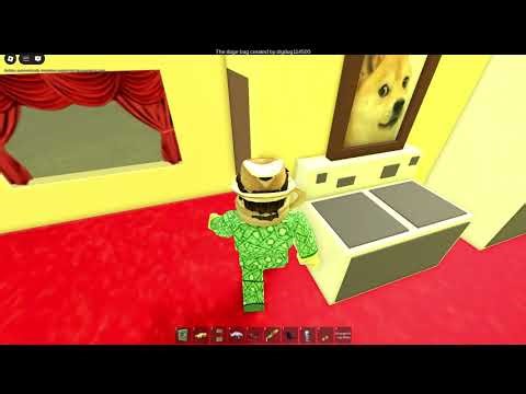 Tour of "My Doge Place"