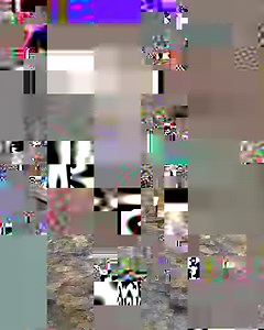 4.6K views · 131 reactions | Our dedicated team recently journeyed to...