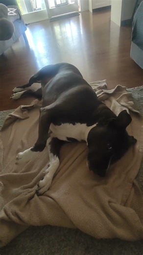 Roll over, roll over.…