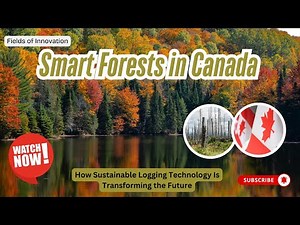 150 - Smart Forests in Canada: How Sustainable Logging Technology Is Transforming the Future