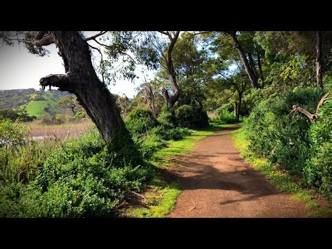 Outdoor Walk - Peaceful walking video, amazing ambient nature sounds.