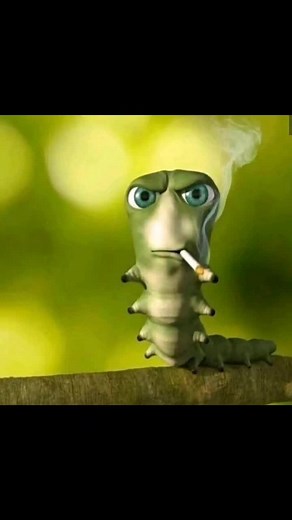 fr #smokingcaterpillar #krater #foryou #fyp #fy