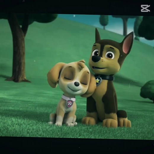 Chase and Skye: A Love Story from Paw Patrol