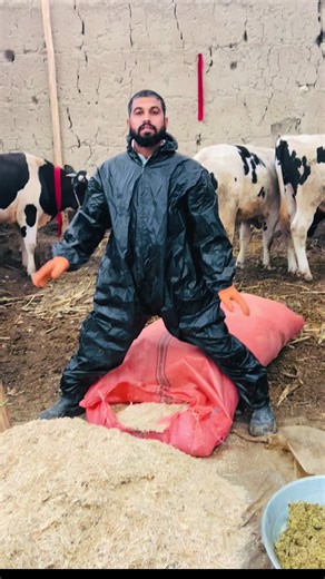 #@melad.commando #پشتون_تاجیک_هزاره_ازبک_زنده_باد🇦🇫 #تاجیک_هزاره_ازبک_پشتون_ترکمن🇦🇫 #fypシ゚viral🖤tiktok #🙏🙏🙏🙏 #afghanistan🇦🇫