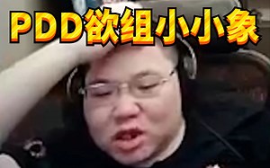 PDD半夜被小何狙击，质问Ruru“LGD这届TI能不能出成绩啊”；PDD想组DOTA2战队小小象，