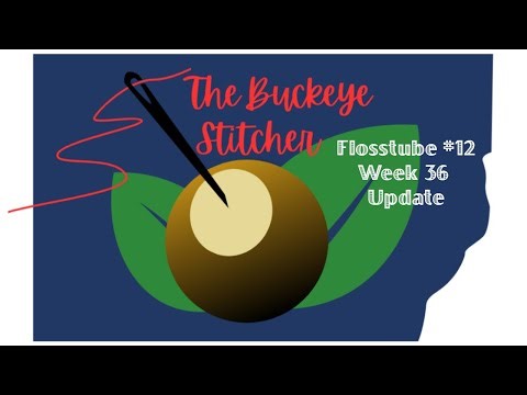Flosstube #25//2025 - Week 36 Update