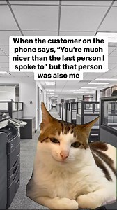 1M views · 25K reactions | My customer service personality has range #work #workhumor #workplacehumor #workmemes #worklife | gnarlyoodles | Facebook