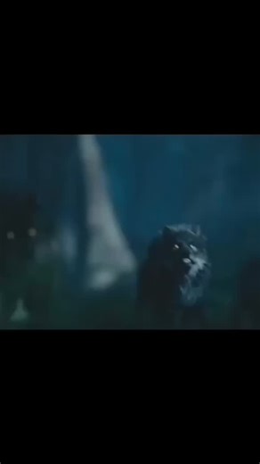 WOLVES | DM The best WOLF pictures & videos 🖤🐺 We Will feature 💖 - - - Follow : 👉👉 @wolfarba 👈👈 👉👉 @wolfarba 👈👈 👉👉 @wolfarba 👈👈 for more,... | Instagram