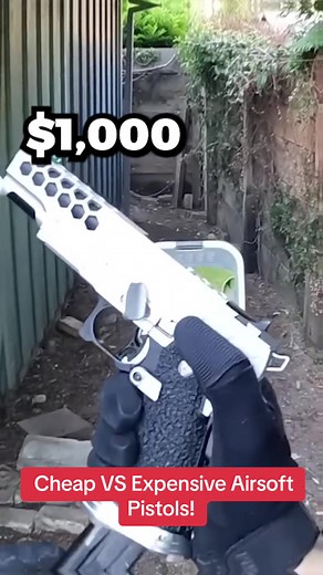 Wag Entertainment (@wagentertainment)’s videos with original sound - Wag Entertainment