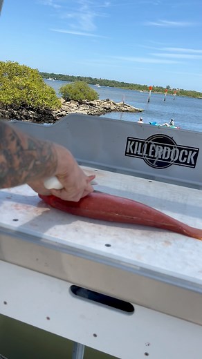 48K views · 651 reactions | Yelloweye Snapper  Grateful for KillerDock providing the best fish cleaning stations for the fishermen that enjoy the cleaning process! | Reed_thefishmonger | Facebook