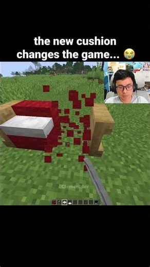 Minecraft Cushion Update Moment