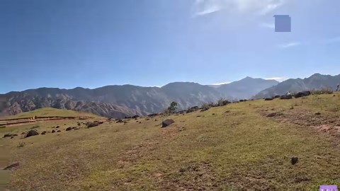 Amazing Blackstone Hill | Boss Alex Go