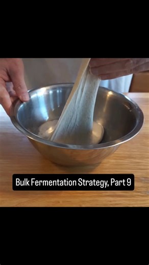 The relationship between folds, degree of proof (volume rise), and dough tension.... This is an old folding video. I used a "tension pull" at the end in order to build more tension into the dough. Now then.... The proofier your dough at the time of folding, the more tension you are capable of producing. So folding a dough risen 50% in volume can produce more tension than a similar fold at a 30% volume rise, all else being equal. That's because you are "wrapping" the same amount of material aroun