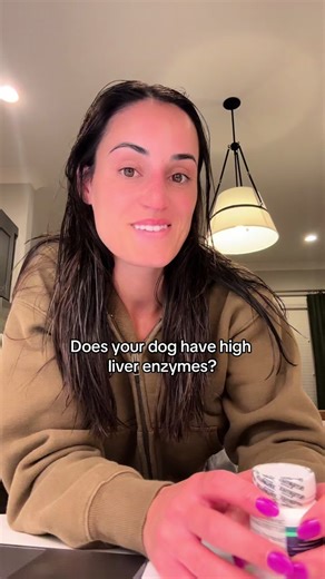 So happy her levels have dropped 104 over the last 2 months! And the vet was aware of hepatic friendly foods just not that my perfect pet has a gently cooked one (for clarification) #greenscreenvideo #hepatic #dogliver #denamarin #hepaticfriendly
