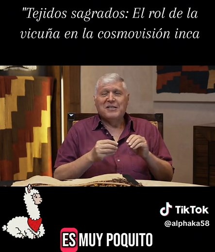 La Vicuña: Tejidos Sagrados en la Cultura Inca