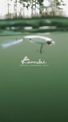 Megabass America | There are baits you fish… and baits you experience. The KARASHI exists in a world of its own — gliding, darting, and hesitating. An... | Instagram