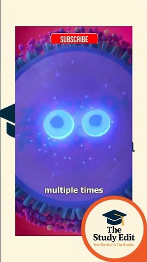 Grade 12 : Reproduction in Humans | Exam Revision | Quick Biology Notes #LifeSciences #BiologyShorts