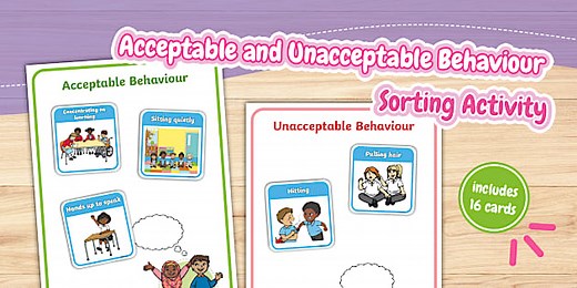 Acceptable and Unacceptable Behaviour Sorting Activity