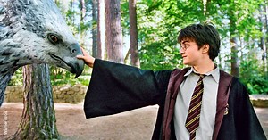 Harry Potter: Logikfehler der Filme um Thestrale ist geklärt - TV SPIELFILM