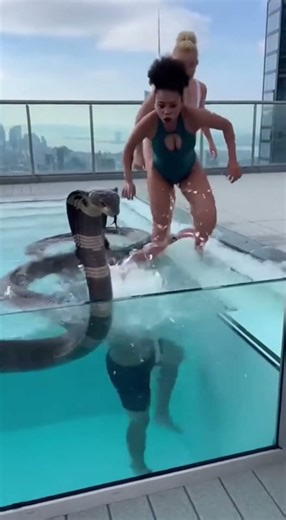 Unbelievable Rooftop Pool Moment Caught on Camera