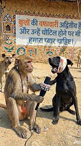 91K views · 40K reactions | Insaan itna bada dogla hai #funny #comedy #girlfriend #dog #viral #doglife #memes #entertainment #animals #fun | Tinku Vlogs | Facebook