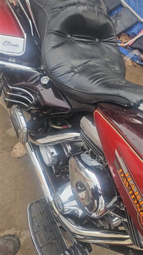 Taking a quick ride, it got cold last night, and she is a cold one to run. | Richard Howard | Facebook