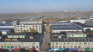 Factory Tour of Seatrust Power. Zhejiang SeaTrust Power Co., Ltd was established in 2006, a company specialized in medium/low voltage transmissions line solutions such as power fitting, transformer, switchgear, and other smart power solutions. #transmissionline www.seatrustpower.com WhatsApp: 8615267868806 | Zhejiang SeatrustPower Co., Ltd