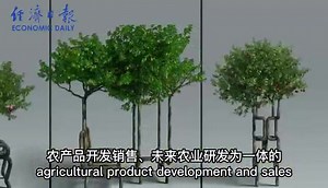 Sichuan KeDaoAgriculture Co., Ltd. is a large-scale professional technology ecological #agriculture company that integrates agricultural research and development, ecological planting and breeding cycle, agricultural product development and sales, and future agricultural research and development. KeDaoAgriculture utilizes urban housing balconies, roofs, and corridors to carry out three-dimensional facility agricultural production, comprehensively promoting the transformation of urban lifestyles f