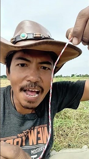 Electric fence rope, suitable for cattle farming. #cowfarm #cow #bullfarm