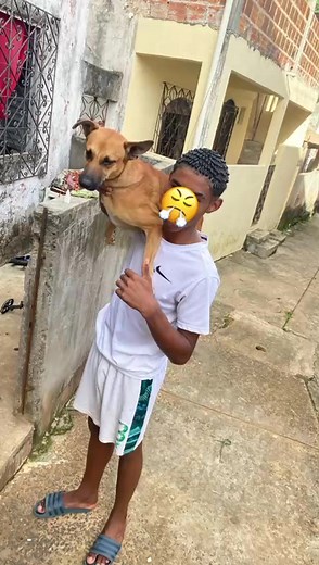 Fotos adorables de cachorros en poses divertidas