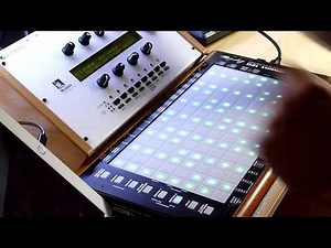 Mutable Instruments Ambika - 6 voice analog polysynth