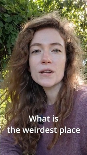 Why mosses don't need soil. #bryophytes #moss #botany #homeschooling #biology #nature