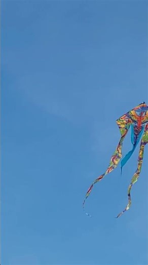 Saturdays fun fly with Phoenix, Red Baron, Manta, couple of lifters and Parrot feathers. 🤗🪁❤️🪁🤗🪁❤️🪁🪁