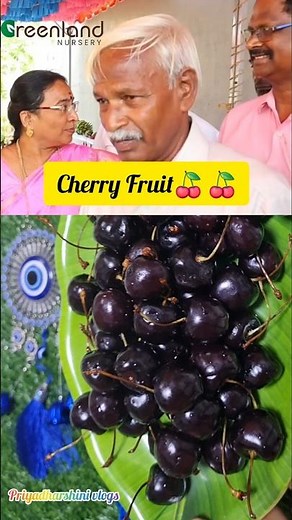 🔥Cherry Fruit 🍒 🍒 #fruit #viralvideo #viral #shorts #trending