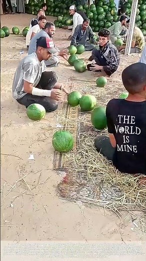 Passing Ripe Melons: Synchronized Rural Teamwork for Rapid Watermelon Unloading