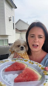 15K views · 1.3K reactions | Happy Gotcha Day, Stella! 懶 #dogsoftiktok #dog #shihtzu #gotchaday | That Dog Stella | Facebook