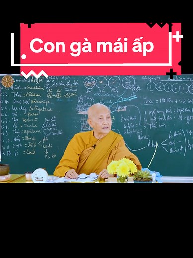 gdls1..p2 trên TikTok