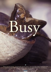 Busy streaming: where to watch movie online?