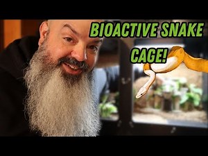 New Bioactive Vivarium Build!