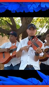 conjunto hermanos canales tema vida prestada | Conjuntos De Cuerdas De Honduras